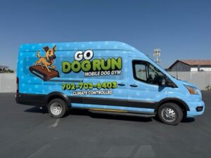 Van Wraps Las Vegas